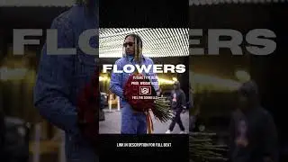 Future Type Beats 2023 - ''Flowers'' (Prod. Wright Beats)