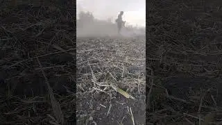 Кошу ботву картофеля #shorts