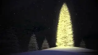 The Earth Stood Still - Future of Forestry