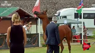 N.18 FARISSA PKA - Strohen 2018 C European