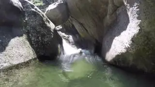 Le Taurinya