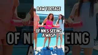 Wasp ATTACK 🐝 caught in 4k 