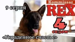Комиссар Рекс, 4 сезон, 9 серия «Украденное счастье»