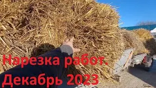 Высаживаю яблони, вожу солому, испытываю ЮМЗ 6. Декабрь 2023
