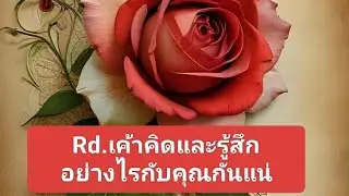 Rd เค้าคิดและรู้สึกอย่างงัยกับคุณกันแน่