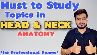 Must to Study Topics in Head & Neck Anatomy | 1st Year Professional Exams