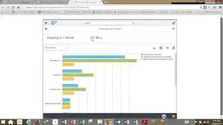 SAP Simple Finance Powered by HANA Accounts Payable Cash Discount Utilization