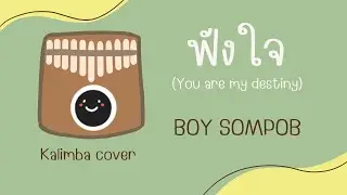 ฟังใจ ( You are my destiny )- Boy Sompob kalimba cover