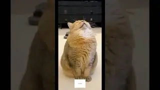 Спим...  ждём...