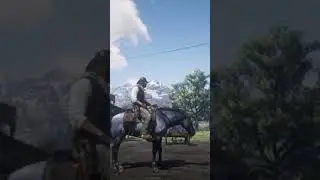 A Blue Blanket For A Blue Horse, in Red Dead Redemption 2