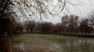 Snowing Orange garden Kunar Afghanistan