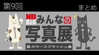 第9回NDみんなの写真展「カラースプラッシュ」スライドショー