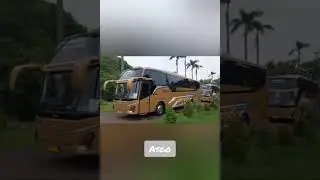 bus modern TAM edit telolet #bus #busmania #telolet
