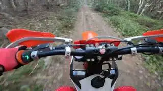 TBI Rippin