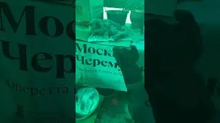 Нет покоя котику