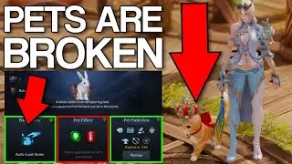 How to use Pets in Lost Ark | Hidden *BROKEN* Pet Functions