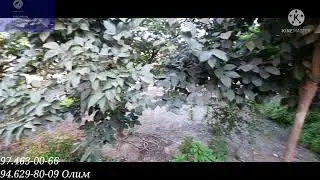 Сергели Дустлик 1 6 сотк 6 хона 💥💥💥💥💥💥💢