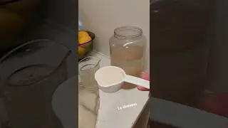 How I Keep My Water Bulgarians Alive