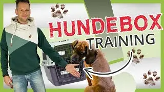 DOG Crate Training: Acclimatization, Training and Proper Use