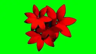 Motion flower green screen video
