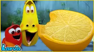 LARVA FULL EPISODE | CARTOON FOR LIFE | CARTOONS VERSION | LARVA TUBA