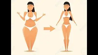 Flat Belly Fix System