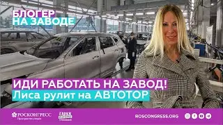 Лиса Рулит: 