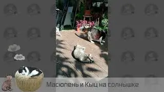 #Masyupean and #Kyz are taking sun bath