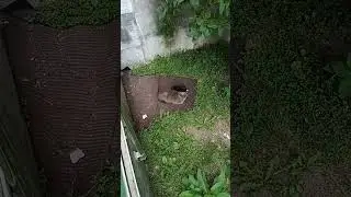 Утренняя милота🐈🥰