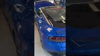 New Nissan Z with blue interior 😍
