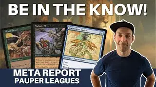 STAY ON THE PULSE! MTG Pauper 5-0 trophy deep dive and spice discussion. What's the new hotness?