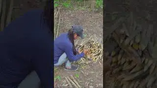 Ultimate Survival Camping Hacks Revealed #shorts #survival  #survivalskills #camping #fyp