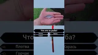 Рубрика 