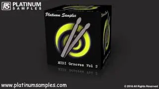 Platinum Samples: Platinum Grooves Volume 2