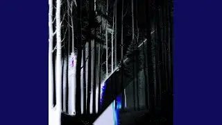 Whisper of the Forest Abyss
