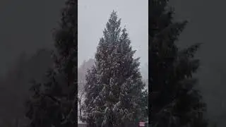 К вечеру растаит! 