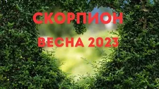 СКОРПИОН🌈ВЕСНА 2023 года🍀МАРТ АПРЕЛЬ МАЙ🍀ГОРОСКОП ТАРО Ispirazione