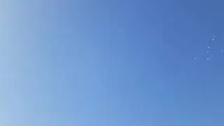 Голуби Казахстана Ертуган Алакол