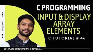 Input & Display Array Elements in C | In Hindi