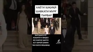 💓💓шавкат  кисми 61 хаёти хакикии шавкат💖💖💓💗💓💗💛💗💓💖💗💓💗💓💗💓💗💛💗🧡💗💔💖💓💖💖💓💖💓💖💓💖💖💔💖🧡💖💔💖💔💖💖💓