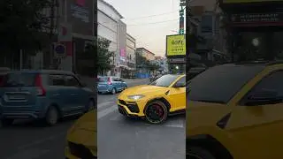 💛 Lamborghini Urus 💛
