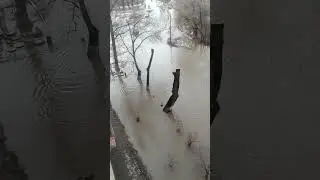 Потоп в волгограде😱