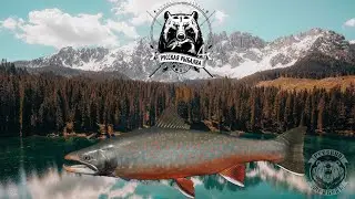 Русская Рыбалка 4 !Тест графики на новом водоёме 