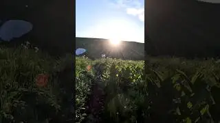Озеро Псенодах
