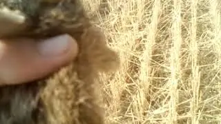 ДОБРЫЙ Я АРТЁМ???