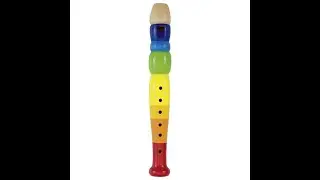 When i come to discord, look for a gay recorder