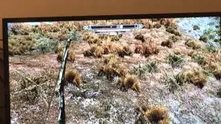 Skyrim Glitch! Alduin is frozen??