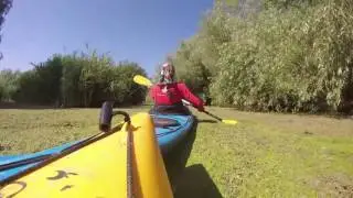 Три Девушки В Лодках