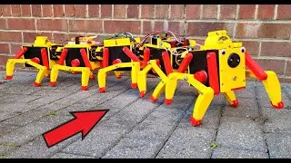 Robot Centipede with Flexible Drive Train