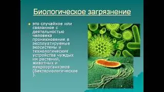 Воздействие человека на биосферу